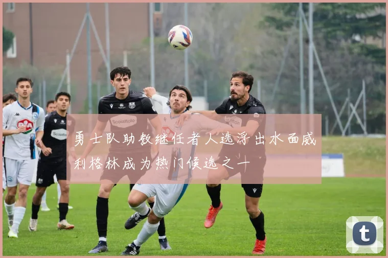 勇士队助教继任者人选浮出水面威利格林成为热门候选之一