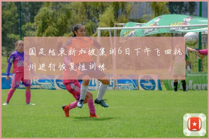 国足结束新加坡集训6日下午飞回杭州进行恢复性训练